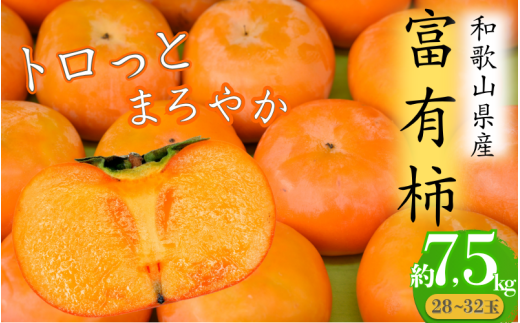 トロっとまろやか 富有柿(約7.5kg)【2025年11月上旬〜下旬発送予定】和歌山県かつらぎ町18000果物・フルーツその他 果物・フルーツ