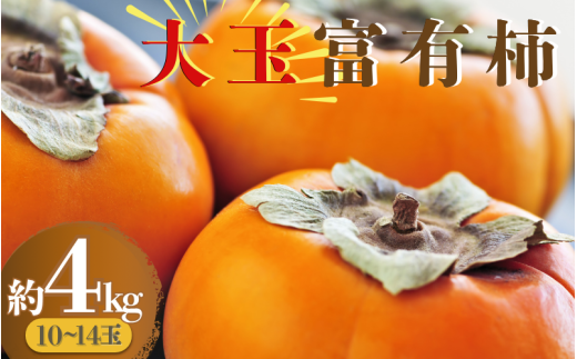 【絶品】大玉富有柿(約4kg)【2025年11月上旬〜下旬発送予定】和歌山県かつらぎ町18000果物・フルーツその他 果物・フルーツ