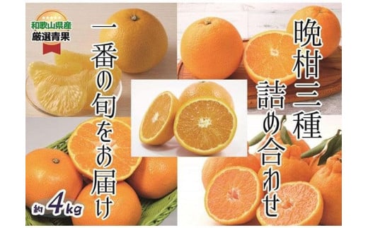 おすすめフレッシュ柑橘3種詰合せ(約4kg) 【2026年2月中旬〜2026年3月中旬発送】和歌山県かつらぎ町16000果物・フルーツみかん・柑橘類