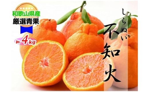 【香りさわやか】しらぬい(約4kg) 【2026年2月中旬〜2026年3月下旬発送】和歌山県かつらぎ町17000果物・フルーツみかん・柑橘類