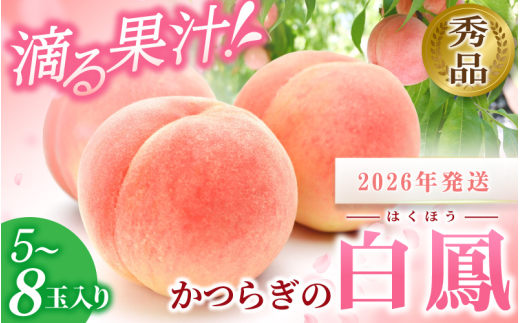 ☆2026年先行予約☆ 和歌山県産 白鳳 桃 5〜8玉入り 秀品 先行予約【2026年6月下旬から7月下旬ごろ発送】/ かつらぎ町 和歌山県産 桃 モモ 白鳳 フルーツ 果物 くだもの 人気 産地直送 厳選 甘
