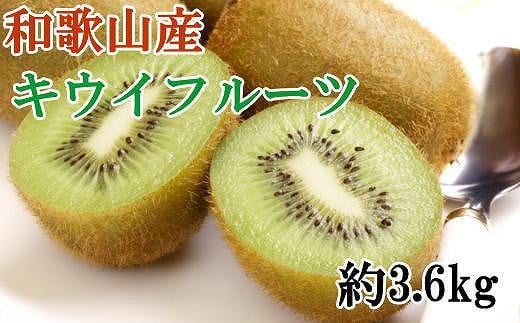 a̎R炬YLECt[c3.6kgiʐ܂jGiy2026N1{`2026N3{za̎R炬18000ʕEt[c̑ ʕEt[c