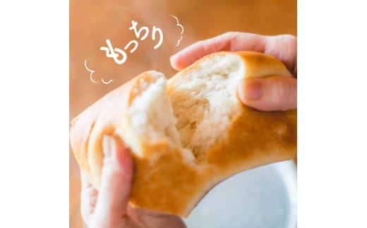 【定期便全6回】つの食パン(白砂糖不使用)2本セット(1カ月に1回お届け)(全6ヵ月)和歌山県かつらぎ町96000米・パンパン