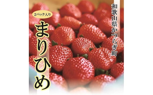 ☆2026年先行予約☆特選☆ いちご【まりひめ】約600g (300g×2)【2026年1月中旬から5月上旬まで発送】/ いちご イチゴ 苺 まりひめ あまい 和歌山県 かつらぎ町 フルーツ 果物和歌山県かつらぎ町1