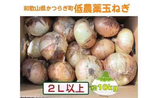 【2026年発送分・先行予約】農家さん直送 低農薬玉ねぎ2Lサイズ以上 約10kg【2026年4月中旬〜7月中旬発送予定】和歌山県かつらぎ町12000野菜・きのこ玉ねぎ・ねぎ