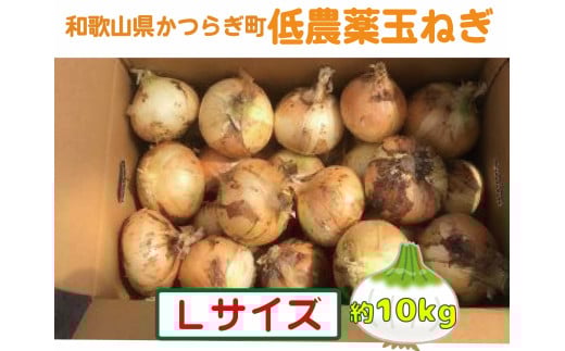 【2026年発送分・先行予約】農家さん直送 低農薬玉ねぎLサイズ 約10kg【2026年4月中旬〜7月中旬発送予定】和歌山県かつらぎ町12000野菜・きのこ玉ねぎ・ねぎ