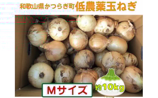 【2026年発送分・先行予約】農家さん直送 低農薬玉ねぎMサイズ 約10kg【2026年4月中旬〜7月中旬発送予定】和歌山県かつらぎ町12000野菜・きのこ玉ねぎ・ねぎ