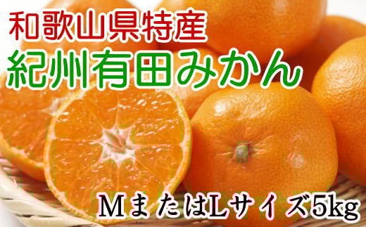 【秀品】和歌山有田みかん 約5kg(MまたはLサイズ) 【2025年11月中旬から2026年1月下旬頃順次発送】【TM98】和歌山県かつらぎ町13000果物・フルーツみかん・柑橘類