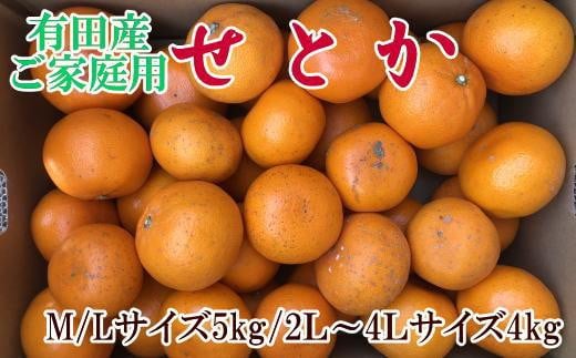 【訳あり・ご家庭用】一度は食べていただきたい「有田産のせとか」約4kg〜5kg【2026年2月中旬〜2026年3月上旬頃に順次発送】和歌山県かつらぎ町18000果物・フルーツみかん・柑橘類