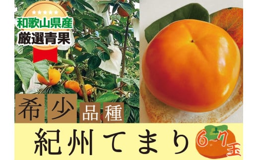 希少品種の柿〇紀州てまり〇6〜7玉入り【2025年10月下旬〜2025年11月中旬頃に順次発送】和歌山県かつらぎ町18000果物・フルーツその他 果物・フルーツ
