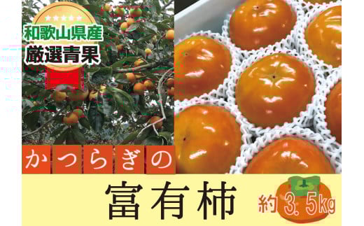 柿 富有柿【秀品】和歌山県産 約3.5kg【2025年11月中旬から2025年12月上旬発送】和歌山県かつらぎ町16000果物・フルーツその他 果物・フルーツ