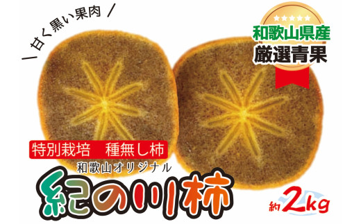 特別栽培 紀の川柿 約2kg 【2025年10月中旬〜2025年11月上旬頃より順次発送】和歌山県かつらぎ町13000果物・フルーツその他 果物・フルーツ