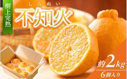 【限定】 不知火 樹上完熟 約2kg (6個入)【2026年2月下旬頃〜4月中旬頃まで発送】 / 不知火 しらぬい みかん 柑橘 和歌山 かつらぎ 甘い 【KG6】和歌山県かつらぎ町12000果物・フルーツみかん