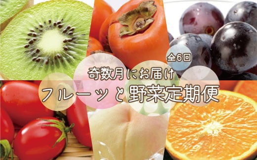 和歌山の旬の果実を 奇数月にお届け全6回定期便(キウイ・清見オレンジ・ミニトマト・桃・ピオーネ・富有柿)【TM62】和歌山県かつらぎ町93000果物・フルーツその他 果物・フルーツ