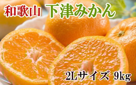 【産直・秀品】和歌山下津みかん 約9kg(2Lサイズ)【2025年11月中旬から2026年1月下旬頃順次発送】【TM76】和歌山県かつらぎ町14000果物・フルーツみかん・柑橘類