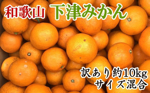 【訳あり】和歌山下津みかん 約10kg ご家庭用向け(サイズ混合) 【2025年11月中旬から2026年1月下旬頃順次発送】【TM78】和歌山県かつらぎ町15000果物・フルーツみかん・柑橘類