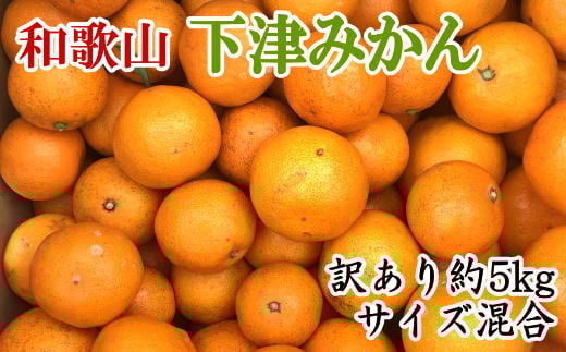 【訳あり】和歌山下津みかん 約5kg ご家庭用向け(サイズ混合) 【2025年11月中旬から2026年1月下旬頃順次発送】【TM77】和歌山県かつらぎ町11000果物・フルーツみかん・柑橘類