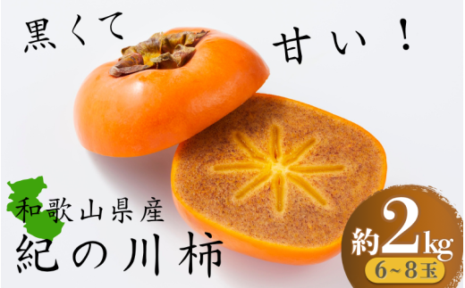 黒くて甘い 紀の川柿 約2kg ★和歌山県オリジナル★【2025年10月上旬〜2025年11月上旬ごろ発送予定】和歌山県かつらぎ町13000果物・フルーツその他 果物・フルーツ