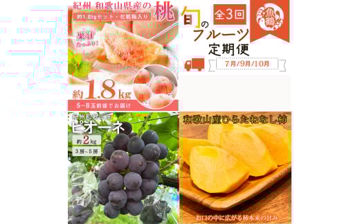 【7・8・10月 全3回】紀州和歌山産旬のフルーツセット(桃・ピオーネ・ひらたねなし柿)定期便 【魚鶴商店】【UT67】和歌山県かつらぎ町49000果物・フルーツその他 果物・フルーツ