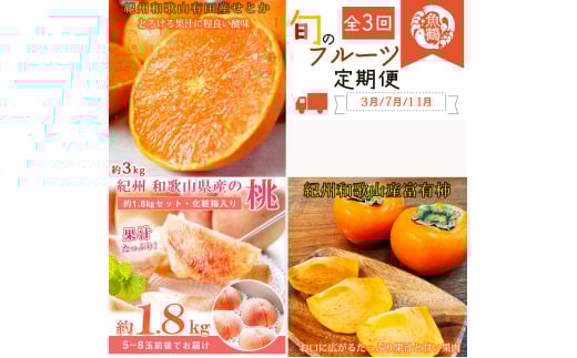 y3E7E11 S3zIBa̎RY{̃t[cZbgiƂEExL`j  yߏXzyUT72za̎R炬49000ʕEt[c̑ ʕEt[c