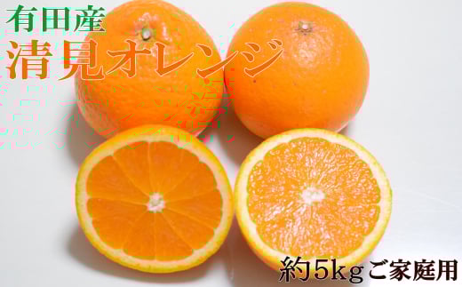 【訳あり・ご家庭用】【濃厚】有田産清見オレンジ約5kg(サイズおまかせ)【2026年2月中旬〜2026年3月中旬頃順次発送】【TM151】和歌山県かつらぎ町14000果物・フルーツみかん・柑橘類