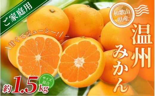 【家庭用】 森本農園の手選別 みかん 約1.5kg 和歌山県産 2S~2Lサイズ混合 【北海道・沖縄・離島配送不可】【2025年11月上旬〜2026年2月中旬ごろに順次発送】【RN6】和歌山県かつらぎ町6000果物