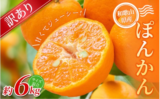【訳あり】 森本農園の手選別 ポンカン 約6kg 和歌山県産 サイズ混合 【北海道・沖縄・離島配送不可】【2026年1月上旬〜2月上旬頃に順次発送】【RN14】和歌山県かつらぎ町10000果物・フルーツ