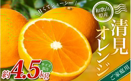 【家庭用】 森本農園の手選別 清見オレンジ 約4.5kg 和歌山県産 サイズ混合 【北海道・沖縄・離島配送不可】【2026年2月上旬〜5月中旬頃に順次発送】【BV90022-mrmt022A】和歌山県かつらぎ町10000