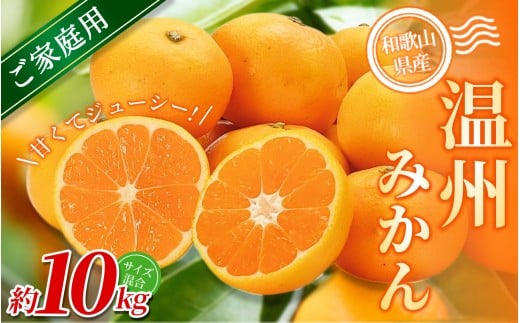 【家庭用】 森本農園の手選別 みかん 約10kg 和歌山県産 2S~2Lサイズ混合 【北海道・沖縄・離島配送不可】【2025年11月上旬〜2026年2月中旬ごろに順次発送】【RN31】和歌山県かつらぎ町17000果物