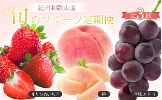 y2`3E7E9 S3zIBa̎RY{̃t[cZbgiEEjyUT96za̎R炬61000ʕEt[c