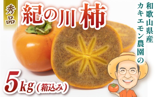 カキエモン農園の紀の川柿 約5kg 18個前後 【2025年10月中旬〜11月中旬頃順次発送】 果物 くだもの フルーツ 柿 かき 和歌山 人気 和歌山県かつらぎ町20000果物・フルーツその他 果物・フルーツ
