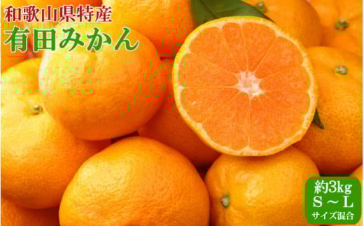 【秀品】和歌山有田みかん 約3kg(S〜Lサイズ混合)【2025年11月中旬〜2026年1月下旬頃発送予定】【TM96】和歌山県かつらぎ町11000果物・フルーツみかん・柑橘類