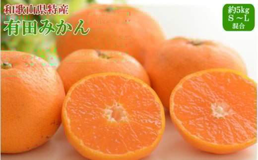 【秀品】和歌山有田みかん 約5kg(S〜Lサイズ混合)【2025年11月中旬〜2026年1月中旬頃発送予定】【TM95】和歌山県かつらぎ町13000果物・フルーツみかん・柑橘類