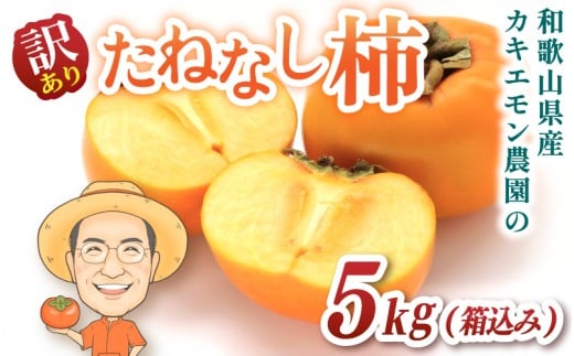 【訳あり・ご家庭用】たねなし柿 約5kg(箱込) 20個前後 カキエモン農園【2025年9月下旬〜11月上旬頃順次発送】/ 柿 たねなし カキ 訳あり ご家庭用 5kg 和歌山県 かつらぎ町 産地直送 農家直送