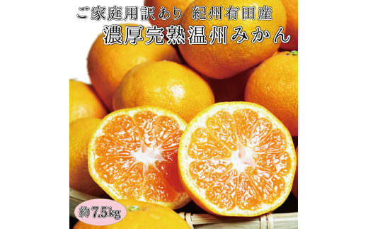 【訳あり・ご家庭用】紀州有田産濃厚完熟温州みかん 約7.5kg 【2025年11月下旬頃〜2026年1月下旬頃に順次発送予定(お届け日指定不可)】和歌山県かつらぎ町15000果物・フルーツみかん・柑橘類