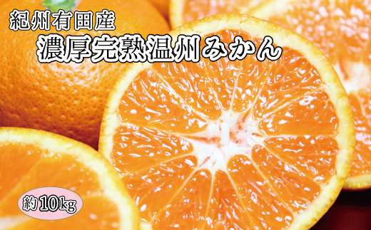 完熟有田みかん 約10kg 【来シーズン先行予約】【2025年11月下旬頃〜2026年1月下旬頃に順次発送予定(お届け日指定不可)】和歌山県かつらぎ町17000果物・フルーツみかん・柑橘類