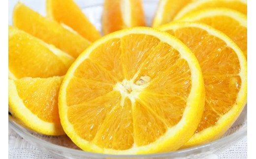 【訳あり・ご家庭用】【国産】希少 バレンシアオレンジ 約7kg 【2026年6月下旬頃〜7月上旬頃 順次発送予定】和歌山県かつらぎ町16000果物・フルーツみかん・柑橘類