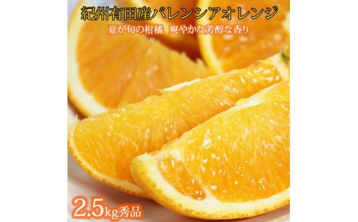 秀品 希少な国産バレンシアオレンジ 約2.5kg 【2026年6月下旬頃〜7月上旬頃 順次発送(お届け日指定不可)】和歌山県かつらぎ町10000果物・フルーツみかん・柑橘類