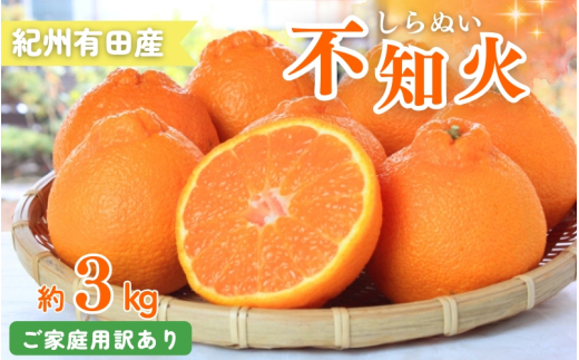 【訳あり・ご家庭用】紀州有田産不知火(しらぬひ) 約3kg 【予約】【2026年2月中旬頃〜2026年3月中旬頃に順次発送予定(お届け日指定不可)】和歌山県かつらぎ町10000果物・フルーツみかん・柑橘