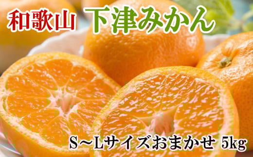 【産直・秀品】和歌山下津みかん 約5kg(S〜Lサイズおまかせ) 【2025年11月中旬〜2026年1月中旬頃順次発送予定(お届け日指定不可)】和歌山県かつらぎ町13000果物・フルーツみかん・柑橘類