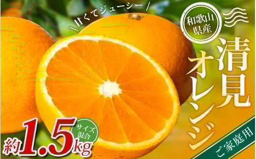 【家庭用】 森本農園の手選別 清見オレンジ 約1.5kg 和歌山県産 サイズ混合 【北海道・沖縄・離島配送不可】【2026年2月上旬〜5月中旬頃に順次発送】【BV90021-mrmt021A】和歌山県かつらぎ町6000