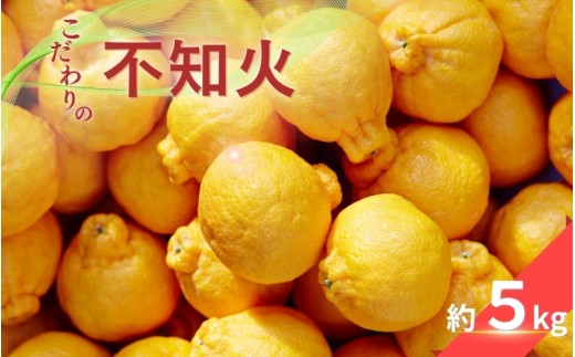 こだわりの 不知火 約5kg 有機質肥料100% 農家直送 光センサー選別 【2026年2月中旬より順次発送予定(お届け日指定不可)】 不知火 みかん ミカン 柑橘 フルーツ 果物 くだもの 人気 旬 産地