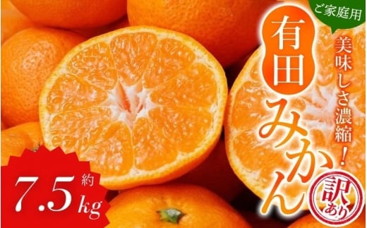 【訳あり】農家直送 有田みかん 約7.5kg ご家庭用 サイズ混合 【2025年11月中旬より順次発送予定(お届け日指定不可)】【北海道・沖縄・離島への配送不可】 訳ありみかん みかん ミカン 蜜