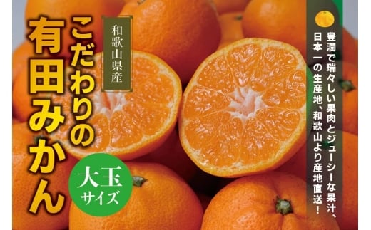 【農家直送】有田みかん 約10kg  大玉3L以上 有機質肥料100% 【2025年12月初旬〜12月末に順次発送(お届け日指定不可)】 / みかん 大玉 蜜柑 有田 柑橘 フルーツ 果物 くだもの 12月【CE-nuk139E】和歌