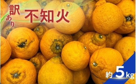 【訳あり】不知火 約5kg 【2026年2月中旬〜4月中旬ごろ順次発送予定(お届け日指定不可)】 不知火 みかん ミカン 柑橘 フルーツ 果物 くだもの 人気 旬 産地直送【CE-nuk177A】和歌山県かつら