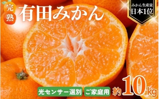 【ご家庭用】 農家直送 こだわりの 完熟 有田みかん 約10kg+250g(傷み補償分) 【11月発送】有機質肥料100% 有田みかん みかん ミカン 蜜柑 柑橘 果物 フルーツ 甘い 温州みかん 先行予約【CE-nuk1