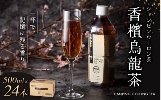 ≪京阪百貨店厳選≫香檳烏龍茶(シャンピンウーロンチャ) 500ml×24本お茶 茶 烏龍茶 ウーロン茶【寄附のご入金後、2週間以内を目途に発送いたします】和歌山県かつらぎ町29000お茶・飲料