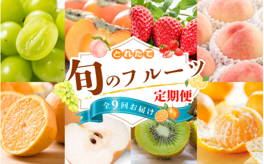 【フルーツ定期便・全9回】品質に自信あり!くしがきの里から直送 人気の果物を贅沢に楽しめる♪  / 定期便 桃 もも みかん 柑橘 シャインマスカット ぶどう 柿 キウイ マスカット いちご