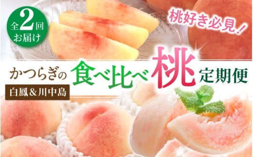 桃好き必見!かつらぎの自慢の桃 白鳳&川中島 食べ比べセット 各約2kg 〜全2回お届け〜/ 和歌山県 かつらぎ町 定期便 桃 もも 果物 フルーツ 2回和歌山県かつらぎ町34000果物・フルーツその