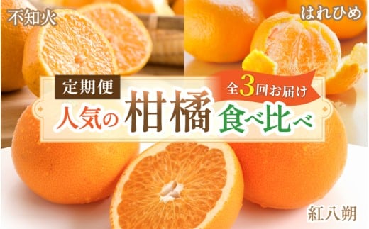 【柑橘堪能定期便】人気の3種を食べ比べ♪(はれひめ・紅はっさく・不知火) / 和歌山県 かつらぎ町 定期便 みかん 柑橘 果物 フルーツ 3回和歌山県かつらぎ町43000果物・フルーツその他 果